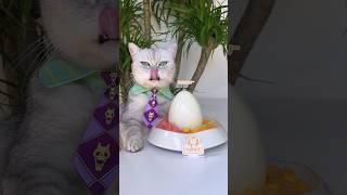 Chocolate Lava Egg! Refreshing and Sweet!  #catsofyoutube  #tiktok #shorts