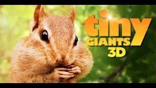 Tiny Giants (Official Rat + More Animals Documentary) {2014 3D Quality}