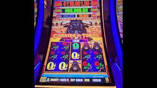 $500 BET HUGE JACKPOT HANDPAY WIN LIGHTNING DOLLAR LINK FREE SPINS - HARD ROCK TAMPA - $5 Denom