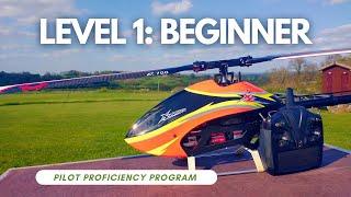 1. Beginner: RC Helicopter Pilot Proficiency Program