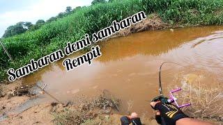 Tak sangka_meriahnya sambaran di satu lopak sahaja #haruan #fishing #fishinglife