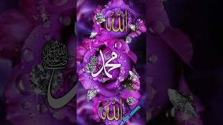 hamne mana #trending #islamic #reels #i #love #mohammad #rajab #shortvideo #viral 