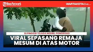 Viral Video Sepasang Remaja Mesum di Atas Motor Di Pinggir Telaga Ngebel Ponorogo