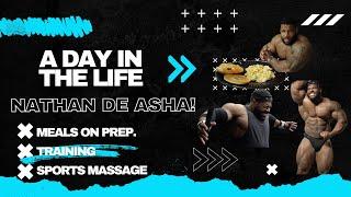 A Day In The Life Of Nathan De Asha IFBB PRO (Lost Upload)