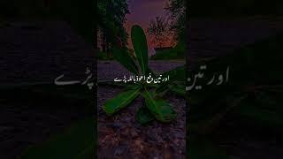 beautiful bayan ️ #varil #treding #ytshorts #youtubeshorts #ajmalrazaqadri