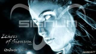 ► SIGNUM - uplifting, haunting, beautiful, banging trance!! {Echoes Of Trance - Signum EoT #18}