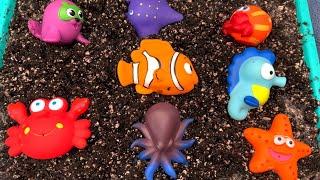 Underwater Animal | Ocean Toys in Muddy Loam Soil