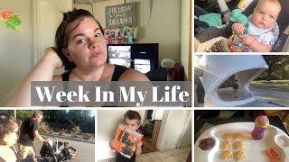 Week In My Life |  Another Monolog Vlog and a Grocery Haul