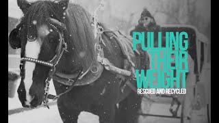 Full Documentary | "Pulling Their Weight: Rescued and Recycled" | AWFAN in NOTL