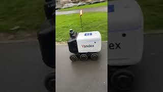 Russian Yandex robot