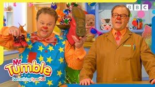 Let's Go Shopping ️ | 30+ Minutes of Fun! |  Mr Tumble and Friends