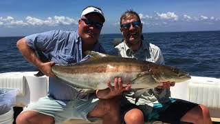 20180629 Cobia Fishing at Windmill Point - Chesapeake Bay