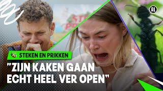 BIJTENDE STINKKEVER RUIKT NAAR ZWEETSOKKEN!   | Steken en Prikken | Seizoen 4 #9 NPO Zapp