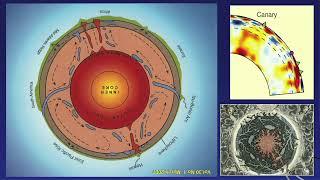 A PLUME ORIGIN for the Canary Islands ?