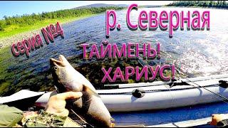 Рыбалка на р. Северная! БЕШЕНЫЙ КЛЕВ ХАРИУСА!!! Серия №4