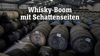 Whisky-Boom mit Schattenseiten | SPIEGEL TV für ARTE Re: