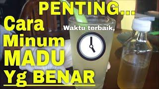 CARA Minum Madu Yang benar dan baik Untuk Obat