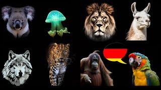 Learn German: What are the animals called in German?