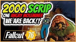 Fallout 76 : SCRIP MY PANTS we are back Hello Wasteland....Murg