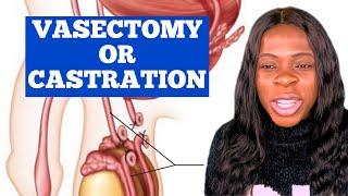 Difference between vasectomy and castration?/What is vasectomy?/What is castration?