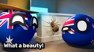 FLATMATES: NZ & Australia | Countryballs Animation