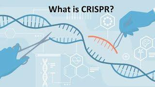 CRISPR Cas9 Explained