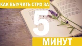 Как ВЫУЧИТЬ СТИХ за 5 МИНУТ/7 СПОСОБОВ/FennLip