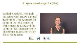 Nathalie Seddon: Ecosystem-based adaptation reflections