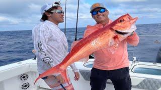 Swordfish, Queen Snapper, Tuna, Almaco Jack and Mahi Mahi in the Florida Keys PART 2: