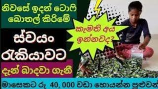 ස්වයං රැකියා | swayan rakiya at home 2024 | swayan rakiya at home | swayan rakiya