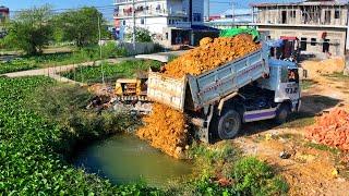 FIRST Start New Project Delete Pond Landfill Flooded area !! Bulldozer Push Stone ,Truck 5Ton Spread