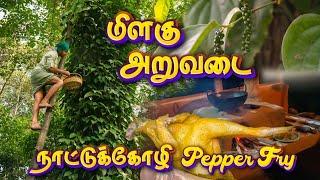 செம பிரெஷ் ah வறுத்த நாட்டுக்கோழி கறி | PEPPER COUNTRY CHICKEN Cooking in FARM | Tamil native Farmer