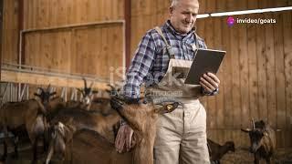 Latest Goat Farming Innovations: From Technology to Breeding Techniques