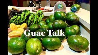 Sleepy Lizard Is Live!  It's time for Guac Talk