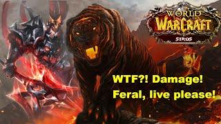 Ферал (Кот) PvP/Arena Wow Sirus/ New season/ Постучали в кабинет или те кто на это способен/ WTF?Wow