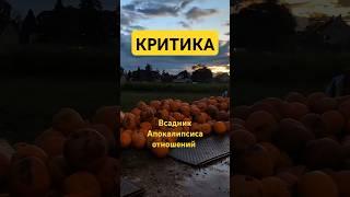 Всадник Апокалипсиса отношений – КРИТИКА #отношения #развод #разрывотношений #психологияотношений