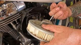 Twin Cam Softail Air Filter Replacement. (15&16 specifically)