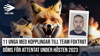 11 UNGA MED KOPPLINGAR TILL TEAM FOXTROT DÖMS FÖR ATTENTAT HÖSTEN 2023 | HELA RÄTTEGÅNGEN