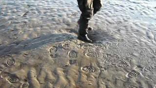 Walking on quicksand on Morecambe Bay