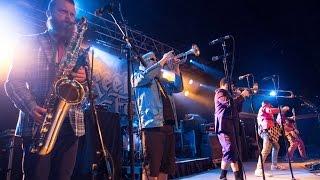 Reel Big Fish - “Beer/Self Esteem” Live (Pro Filmed)