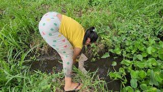 MENCARI IKAN DI SUNGAI KECIL TEPI HUTAN 