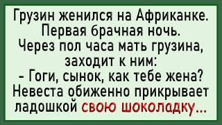 Как Грузин на Африканке Женился! Сборник Свежих Анекдотов! Юмор!