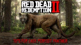 RDR2 ~ Tips for Easy Perfect Panther Spawn & Successful Hunt