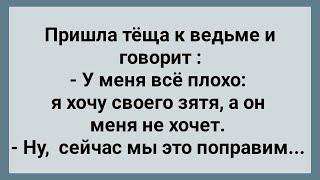 Теща Пришла к Ведьме! Сборник Свежих Анекдотов! Юмор!