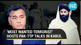 Sirajuddin Haqqani hosts ex-Pak ISI chief for talks with TTP as terror attacks bleed Bajwa's men