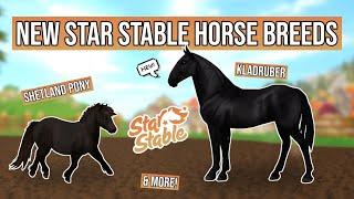 NEW Horse Breeds Star Stable should add to the game!