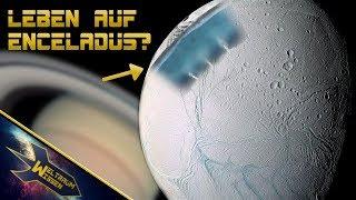 Außerirdisches Leben auf Enceladus? 