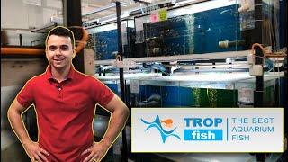 КРУТЕЙШАЯ РАЗВОДНЯ С НОВЫМИ ТЕХНОЛОГИЯМИ TropFish