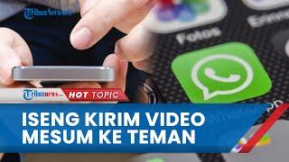 Iseng Kirim Video Mesum 30 Detik Dirinya ke Teman, Rekaman Milik Pemuda Madiun Kini Malah Viral