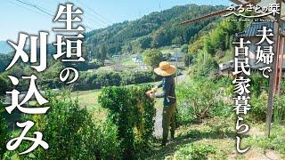 【古民家暮らしの秋】庭木の剪定をし、生垣を刈込み家の周りを整える1日｜田舎暮らし122